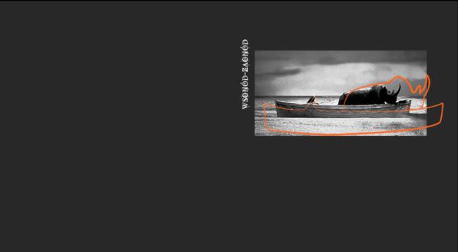 WZ-website_cover-rhi